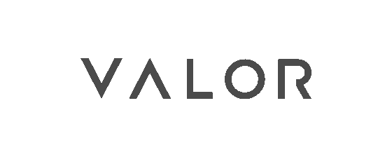 logo_valor